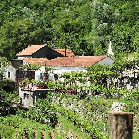 Country House Dajkovic Dupilo ภายนอก รูปภาพ