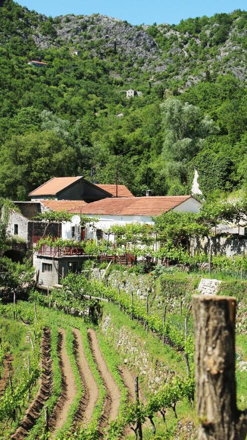 Country House Dajkovic Dupilo ภายนอก รูปภาพ